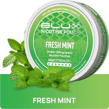 Fresh Mint / 50mg